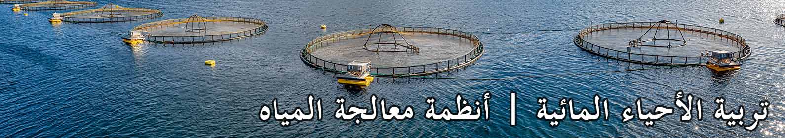 مفارخ الأسماك