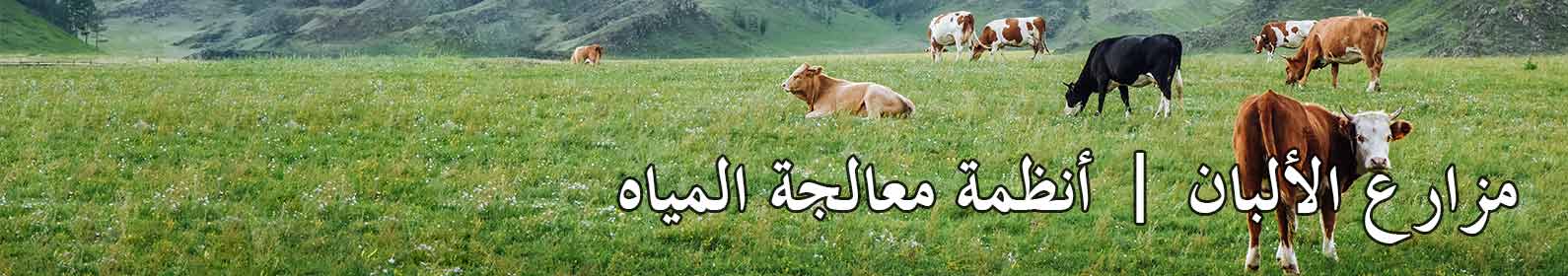 ألبان