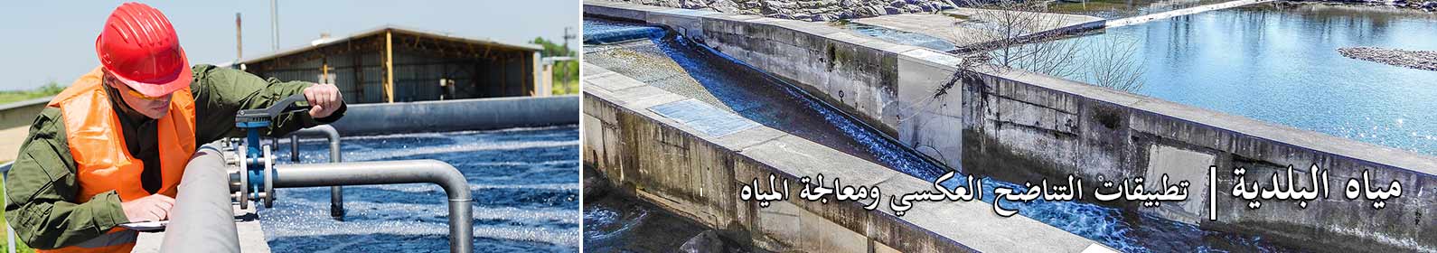 البلدية